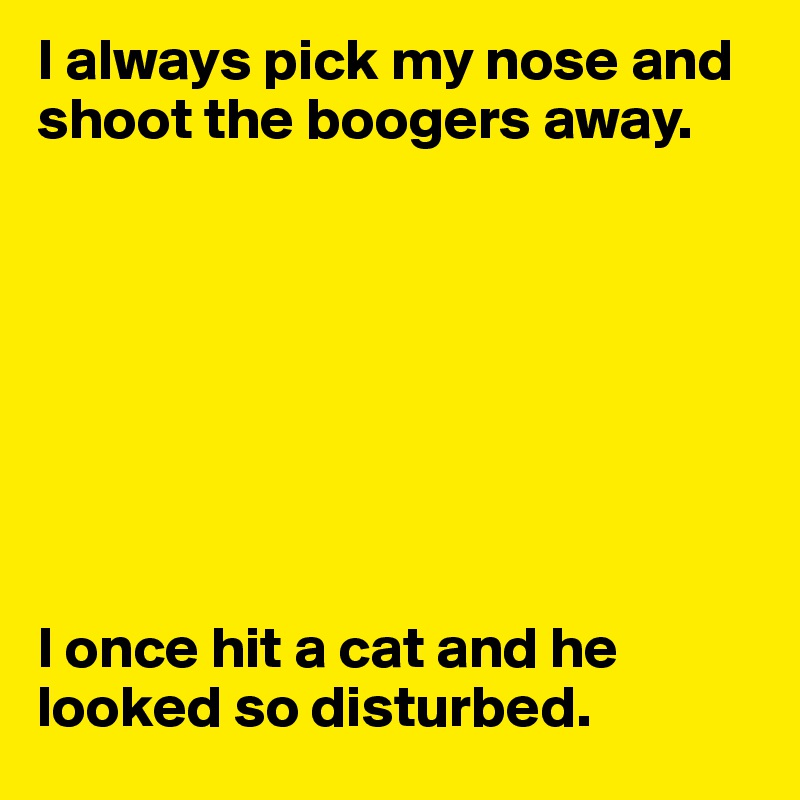I always pick my nose and shoot the boogers away.








I once hit a cat and he looked so disturbed.