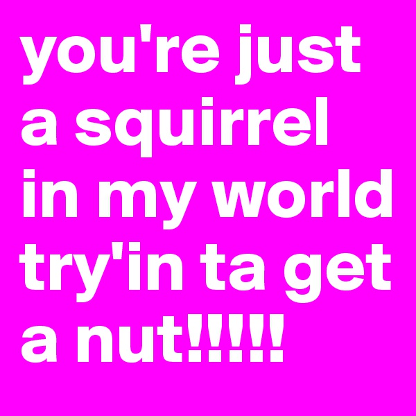 you're just a squirrel in my world try'in ta get a nut!!!!!