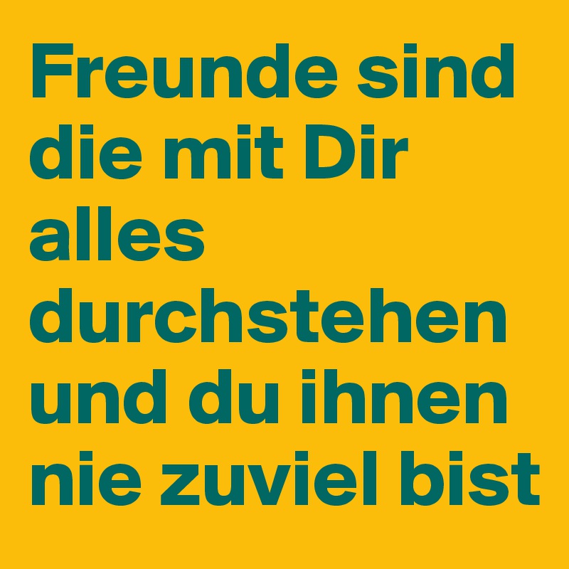 Freunde sind die mit Dir alles durchstehen und du ihnen nie zuviel bist