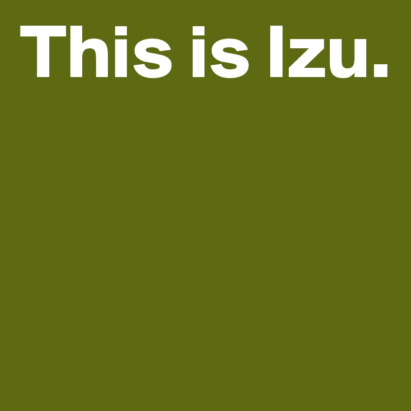 This is Izu.


