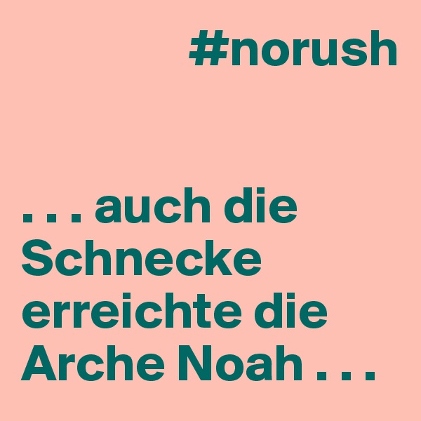                #norush


. . . auch die Schnecke erreichte die    Arche Noah . . .