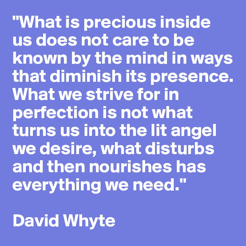 "What is precious inside us does not care to be known by the mind in ways that diminish its presence. What we strive for in perfection is not what turns us into the lit angel we desire, what disturbs and then nourishes has everything we need."

David Whyte 