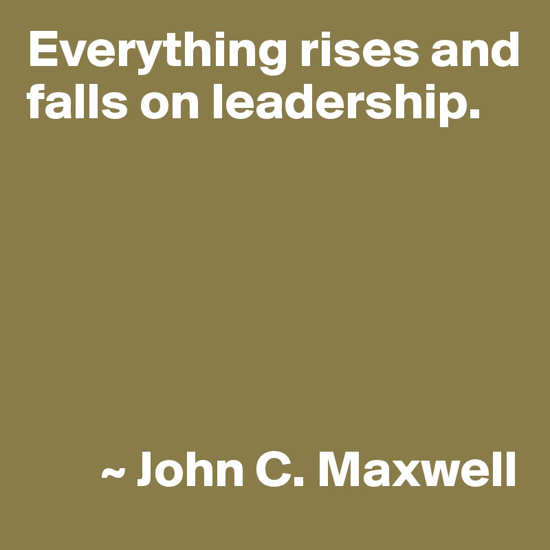 Everything rises and falls on leadership.






       ~ John C. Maxwell