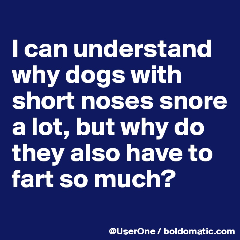 
I can understand why dogs with short noses snore a lot, but why do they also have to fart so much?
