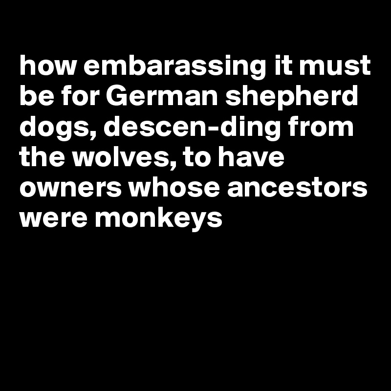 
how embarassing it must be for German shepherd dogs, descen-ding from the wolves, to have owners whose ancestors were monkeys



