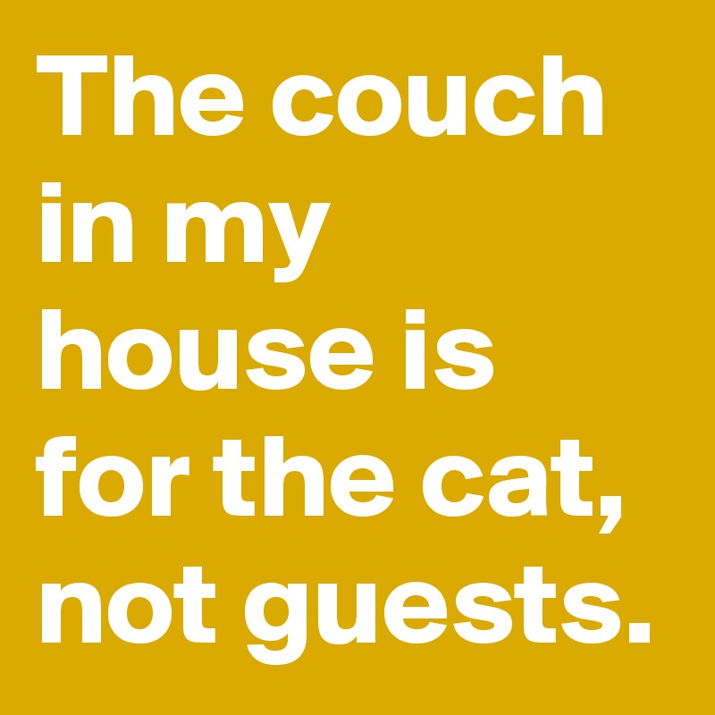 The couch in my house is for the cat, not guests.
