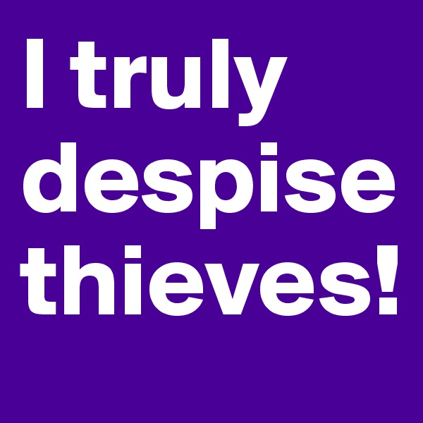 I truly despise thieves!
