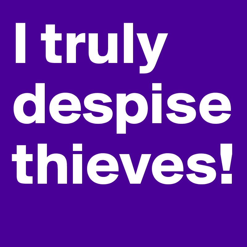 I truly despise thieves!