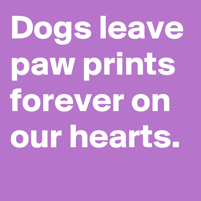 Dogs leave paw prints forever on our hearts.