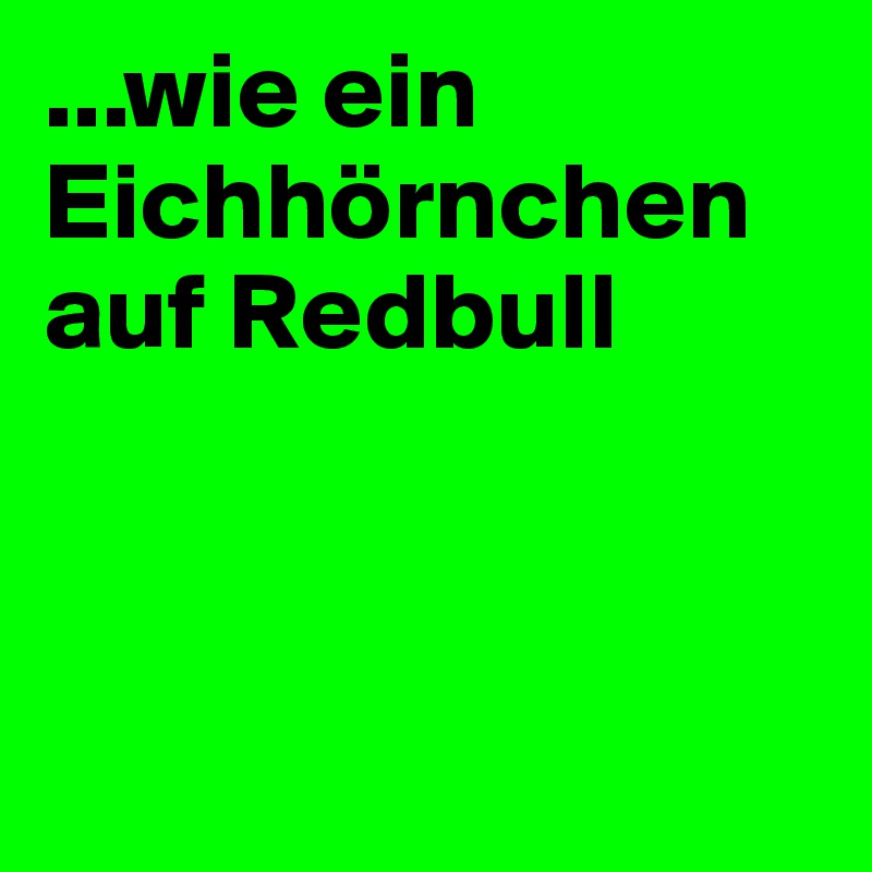 ...wie ein Eichhörnchen auf Redbull



