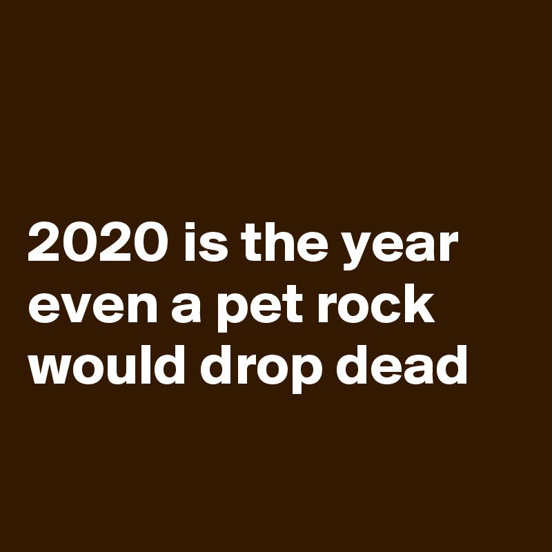 


2020 is the year even a pet rock would drop dead


