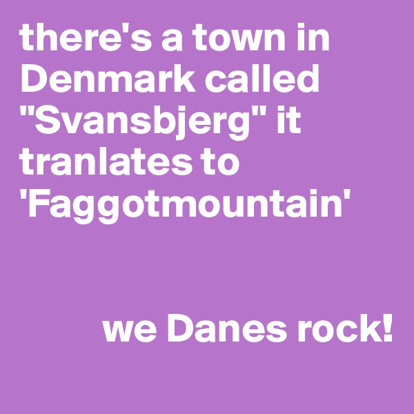 there's a town in Denmark called "Svansbjerg" it tranlates to 'Faggotmountain'

      
          we Danes rock!