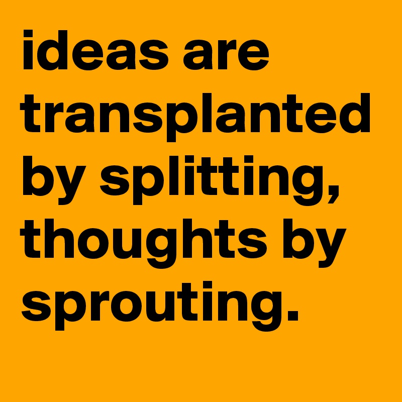 ideas are transplanted by splitting, thoughts by sprouting.