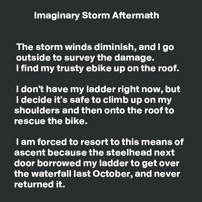             Imaginary Storm Aftermath


   The storm winds diminish, and I go
   outside to survey the damage.
   I find my trusty ebike up on the roof.

   I don't have my ladder right now, but
   I decide it's safe to climb up on my
  shoulders and then onto the roof to
  rescue the bike.

   I am forced to resort to this means of
  ascent because the steelhead next
  door borrowed my ladder to get over
  the waterfall last October, and never
  returned it.