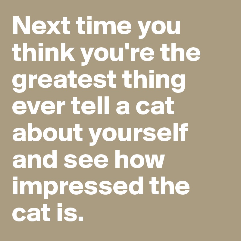 Next time you think you're the greatest thing ever tell a cat about yourself and see how impressed the cat is. 
