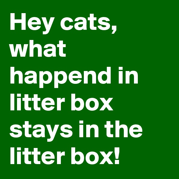 Hey cats, what happend in litter box stays in the litter box!