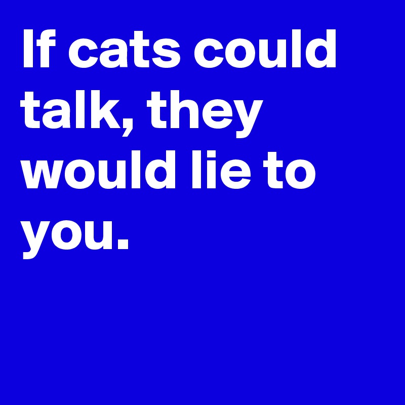 If cats could talk, they would lie to you.

