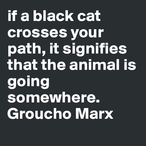 if a black cat crosses your path, it signifies that the animal is going somewhere.
Groucho Marx
