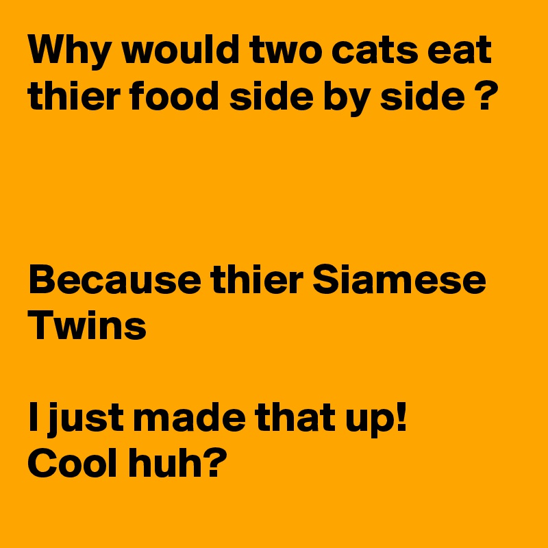 Why would two cats eat thier food side by side ?



Because thier Siamese Twins

I just made that up! 
Cool huh? 