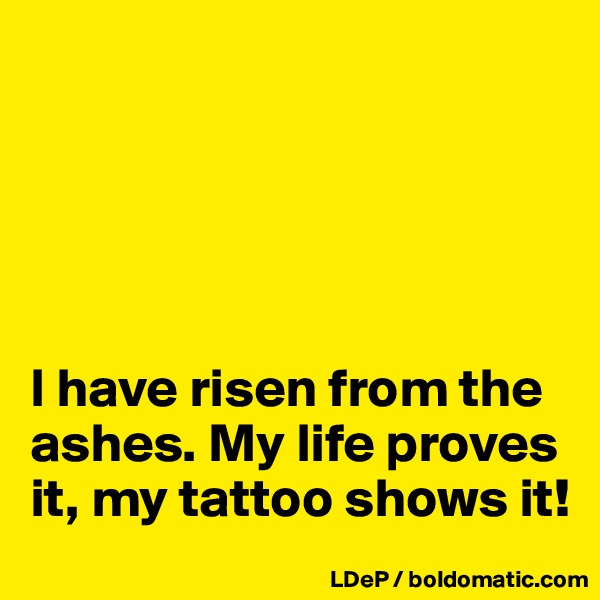 





I have risen from the ashes. My life proves it, my tattoo shows it!