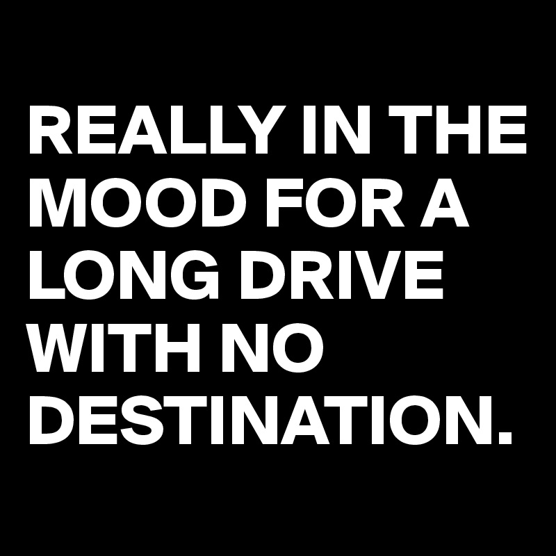 
REALLY IN THE MOOD FOR A LONG DRIVE WITH NO DESTINATION.