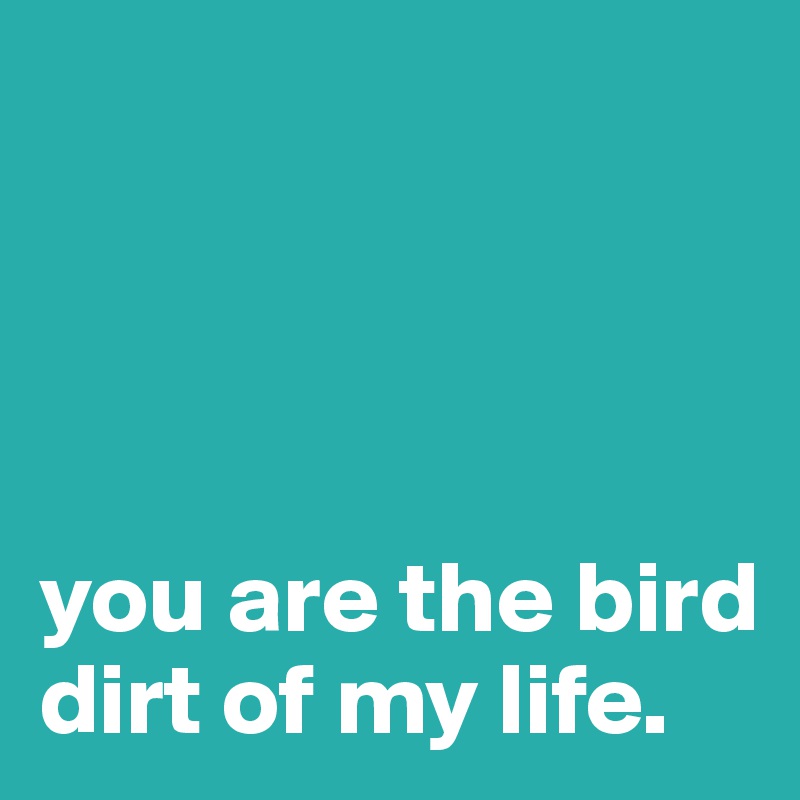 




you are the bird dirt of my life.