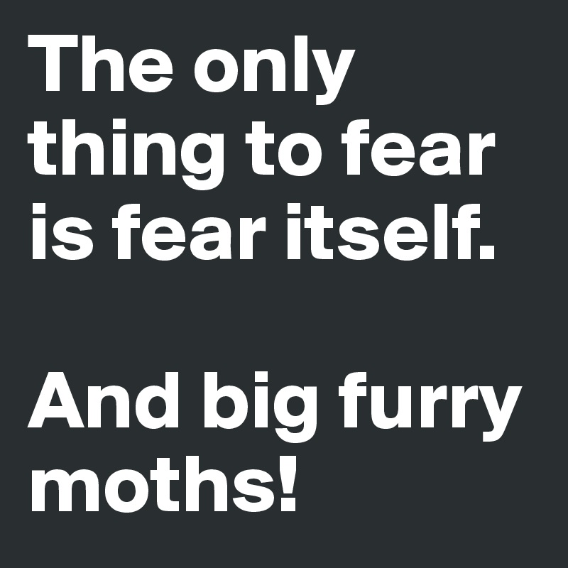 The only thing to fear is fear itself. 

And big furry moths!