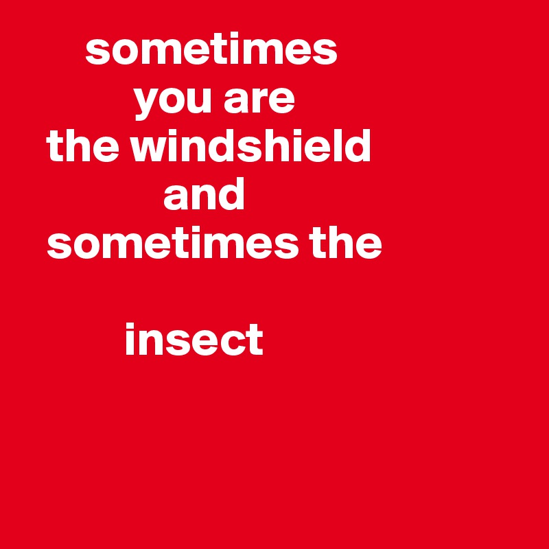       sometimes 
           you are 
  the windshield 
              and 
  sometimes the   

          insect


