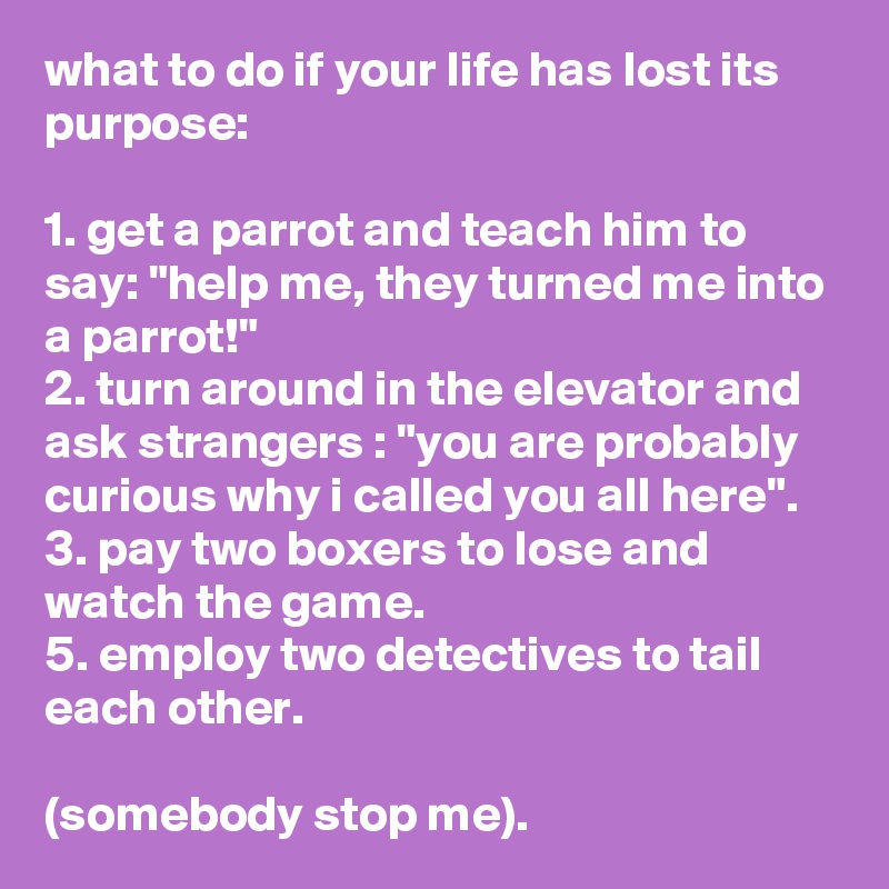 what-to-do-if-your-life-has-lost-its-purpose-1-get-a-parrot-and-teach