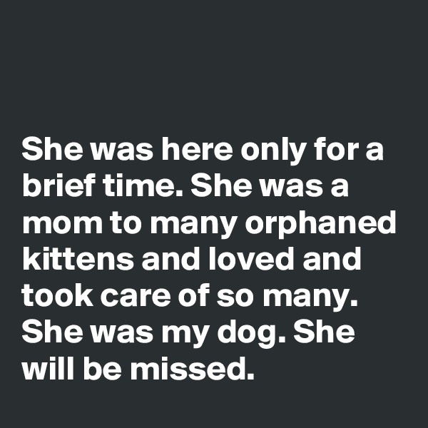 


She was here only for a brief time. She was a mom to many orphaned kittens and loved and took care of so many. She was my dog. She will be missed.