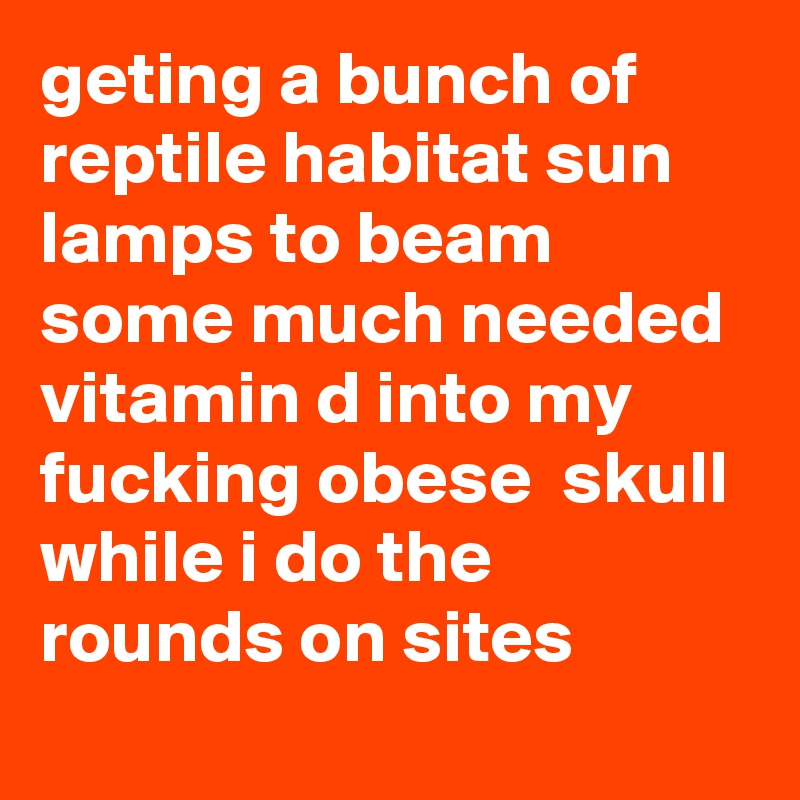 geting a bunch of reptile habitat sun lamps to beam some much needed vitamin d into my fucking obese  skull while i do the rounds on sites