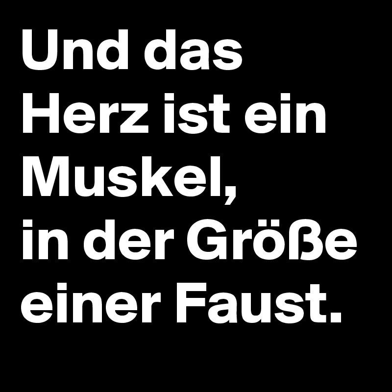Und das Herz ist ein Muskel,
in der Größe einer Faust. 