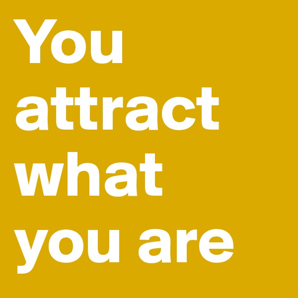 You attract what you are