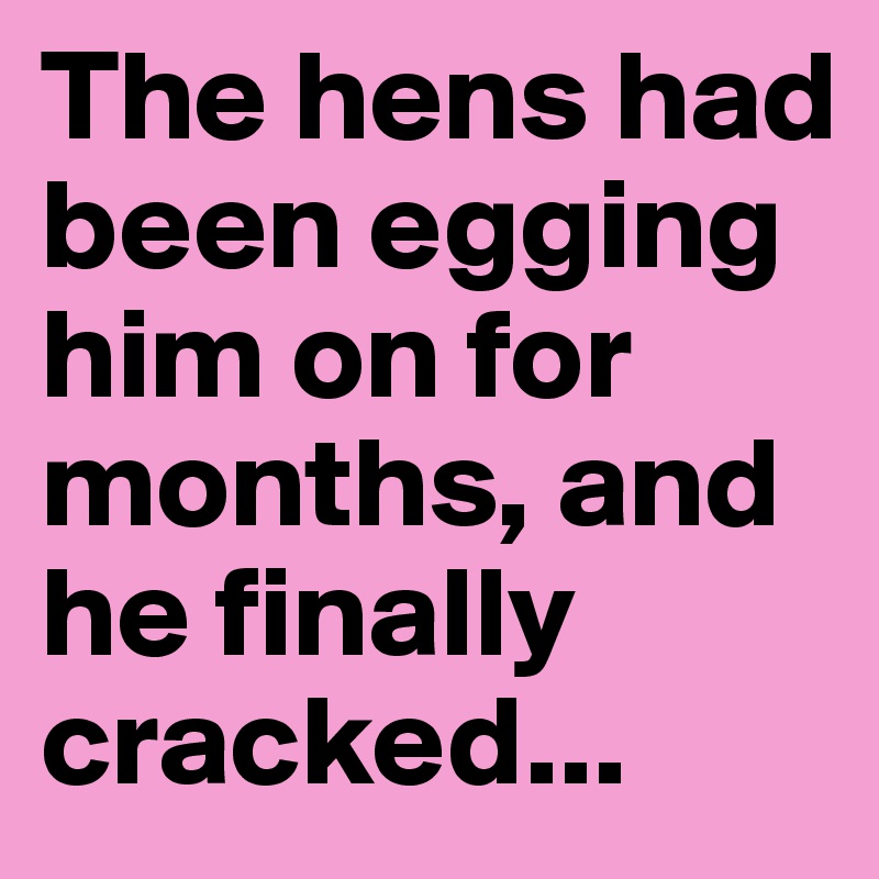 The hens had been egging him on for months, and he finally cracked... 