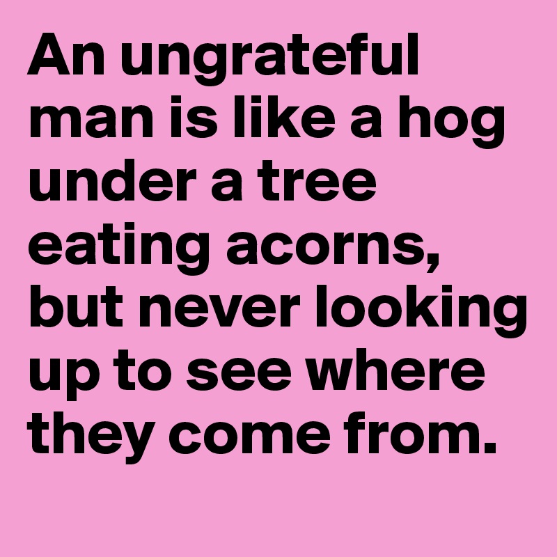 An ungrateful man is like a hog under a tree eating acorns, but never looking up to see where they come from.