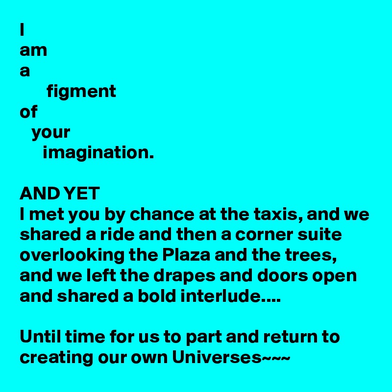 I
am
a
       figment
of
   your
      imagination.

AND YET
I met you by chance at the taxis, and we shared a ride and then a corner suite overlooking the Plaza and the trees, and we left the drapes and doors open and shared a bold interlude....

Until time for us to part and return to creating our own Universes~~~  