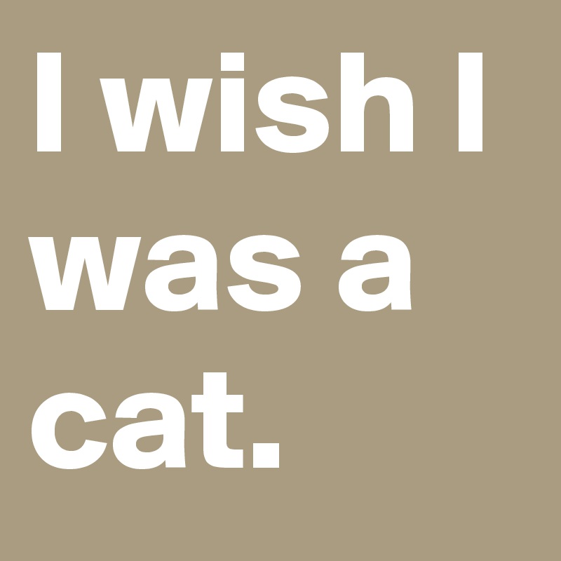 I wish I was a cat.