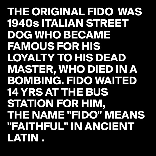 THE ORIGINAL FIDO  WAS 1940s ITALIAN STREET DOG WHO BECAME FAMOUS FOR HIS LOYALTY TO HIS DEAD MASTER, WHO DIED IN A BOMBING. FIDO WAITED 14 YRS AT THE BUS STATION FOR HIM,
THE NAME "FIDO" MEANS "FAITHFUL" IN ANCIENT LATIN .