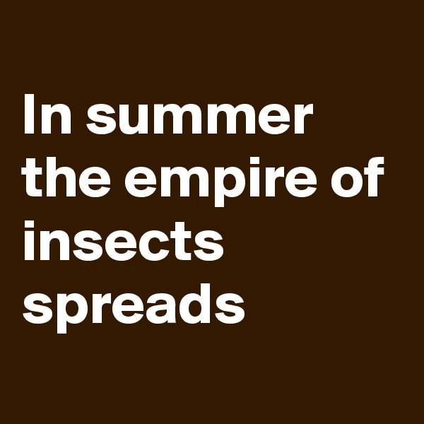 
In summer the empire of insects spreads
