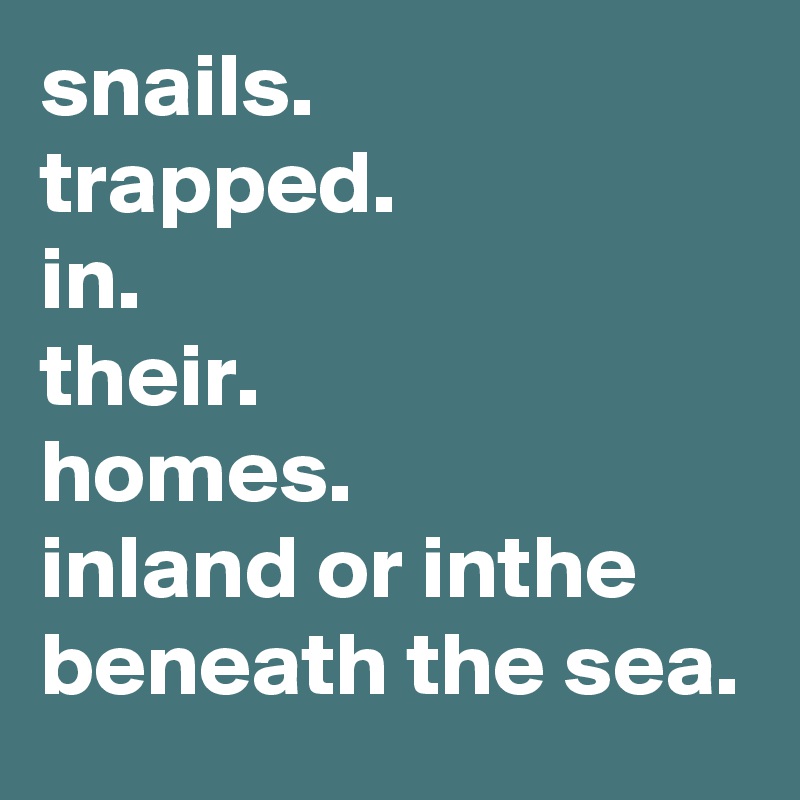 snails.
trapped.
in.
their.
homes.
inland or inthe beneath the sea. 