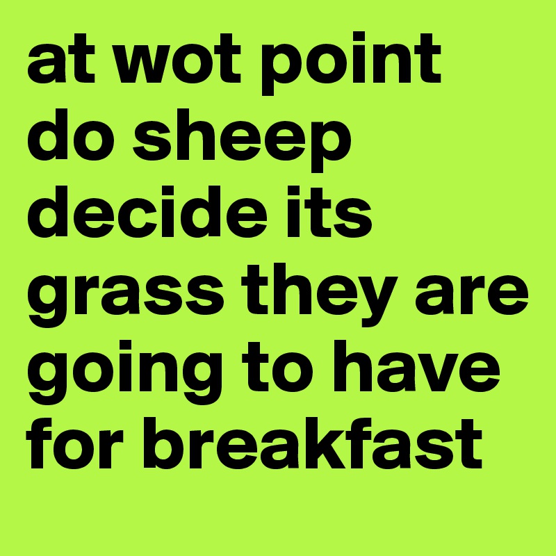 at wot point do sheep decide its grass they are going to have for breakfast