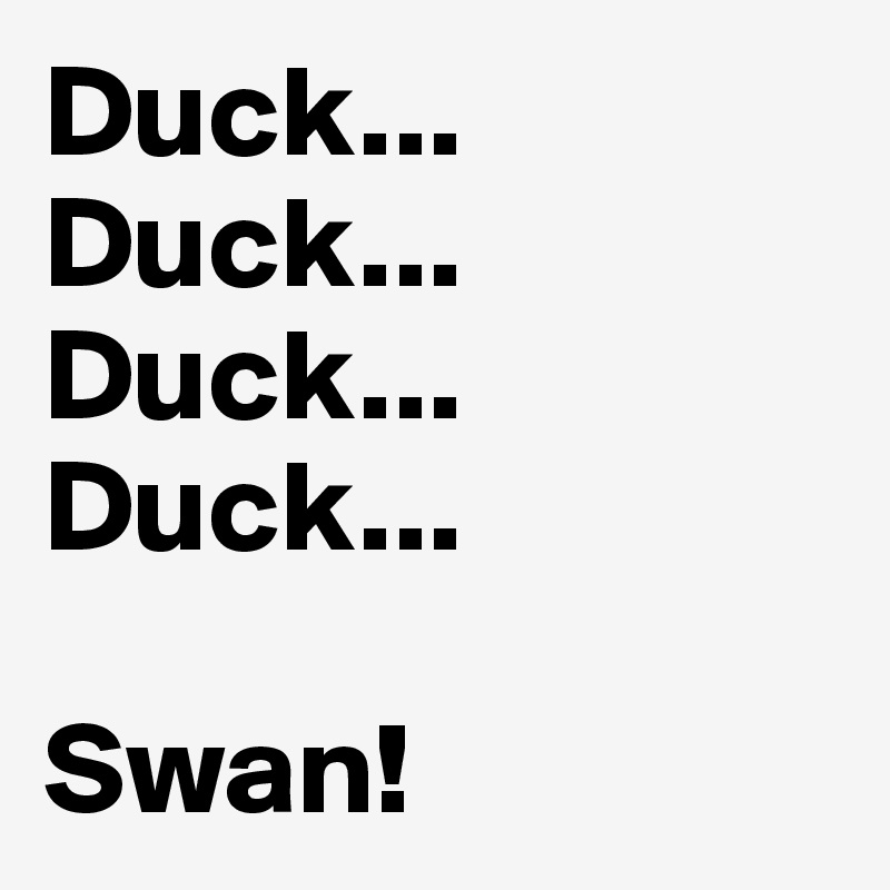 Duck...
Duck...
Duck...
Duck...

Swan!