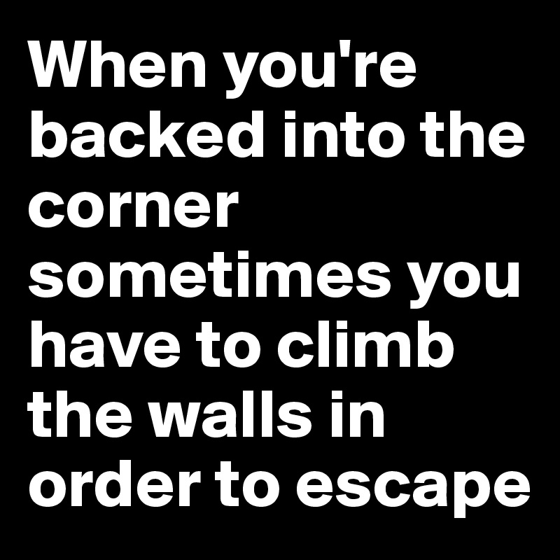 When you're backed into the corner sometimes you have to climb the walls in order to escape