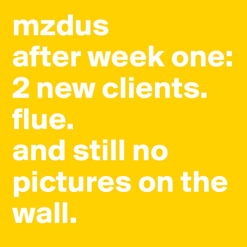 mzdus 
after week one: 2 new clients.
flue.
and still no pictures on the wall.