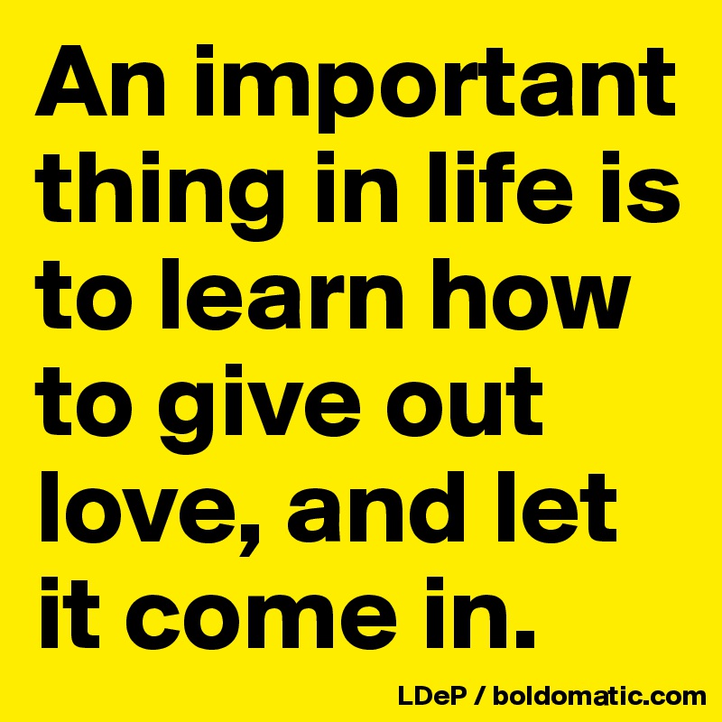An important thing in life is to learn how to give out love, and let it come in. 