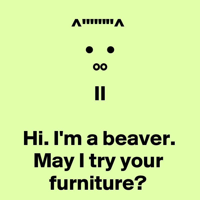 ^""""^
 •   •
 °°
 II

Hi. I'm a beaver.
May I try your furniture?