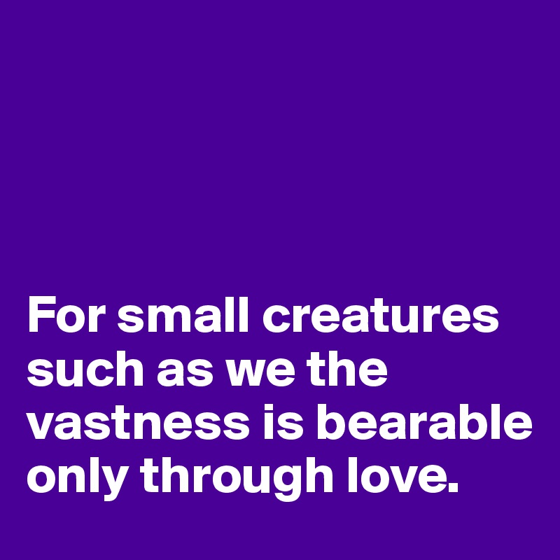 




For small creatures such as we the vastness is bearable only through love.