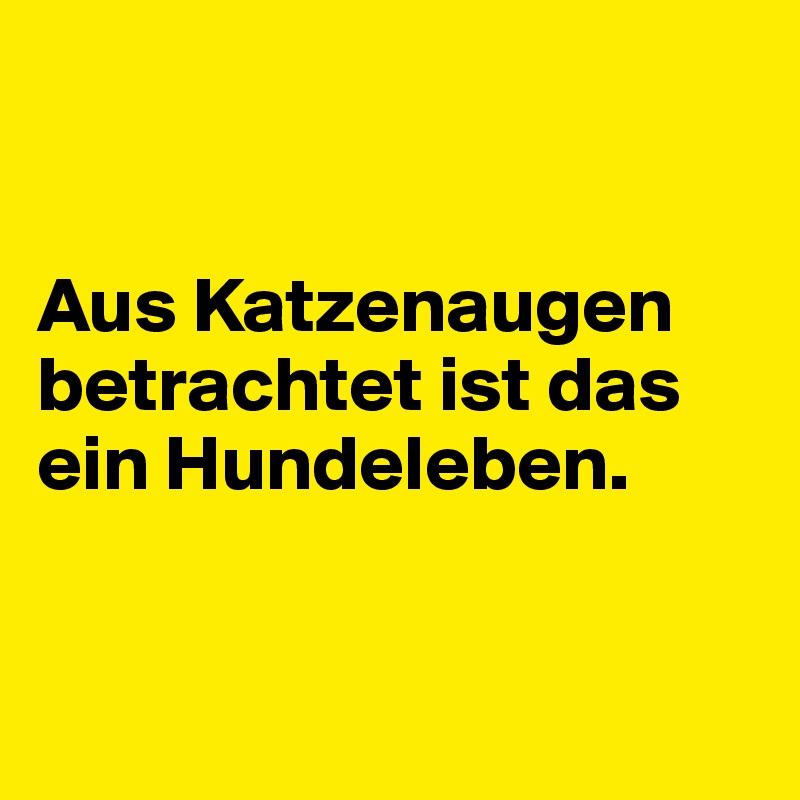 


Aus Katzenaugen betrachtet ist das ein Hundeleben. 


