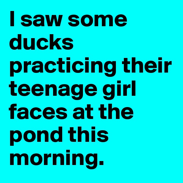 I saw some ducks practicing their teenage girl faces at the pond this morning. 