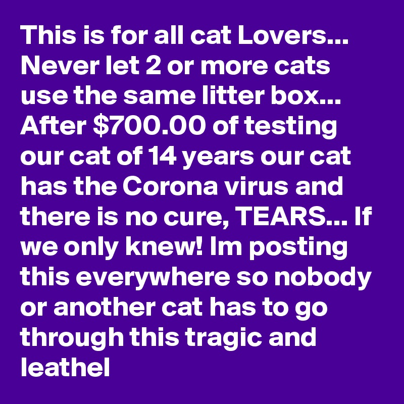 This is for all cat Lovers... Never let 2 or more cats use the same litter box... After $700.00 of testing our cat of 14 years our cat has the Corona virus and there is no cure, TEARS... If we only knew! Im posting this everywhere so nobody or another cat has to go through this tragic and leathel